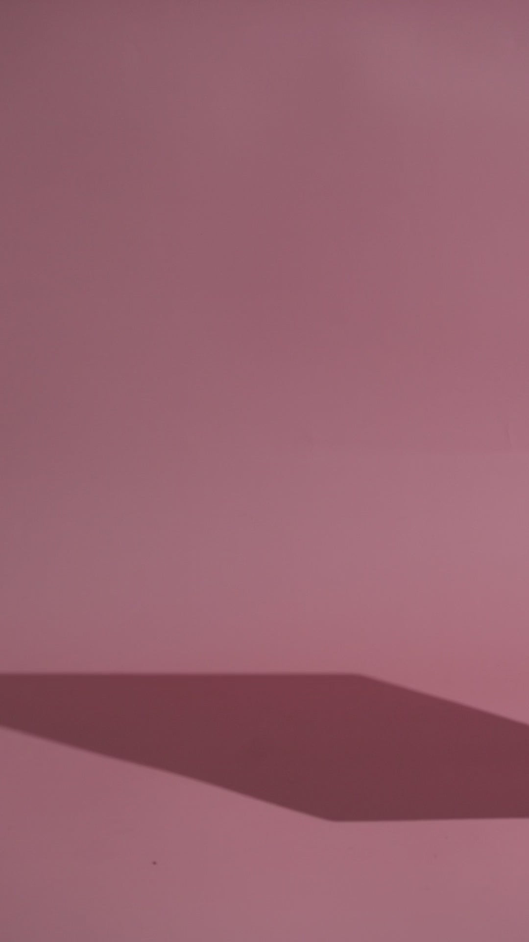 CHRISTMAS BOX (LIMITED EDITION)